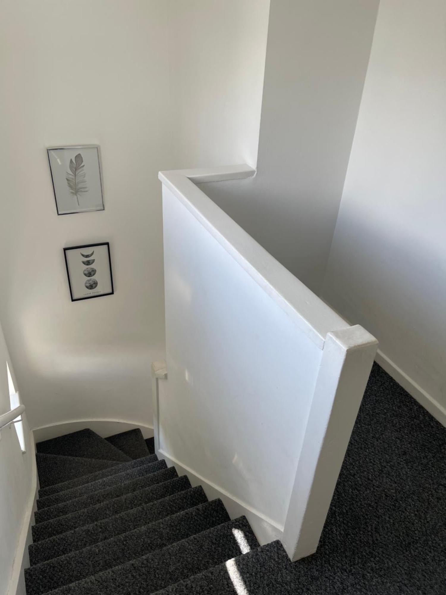 House Number 8 Sleeps Up To 6 People With Smart Tvs In Every Room Wellington  Extérieur photo